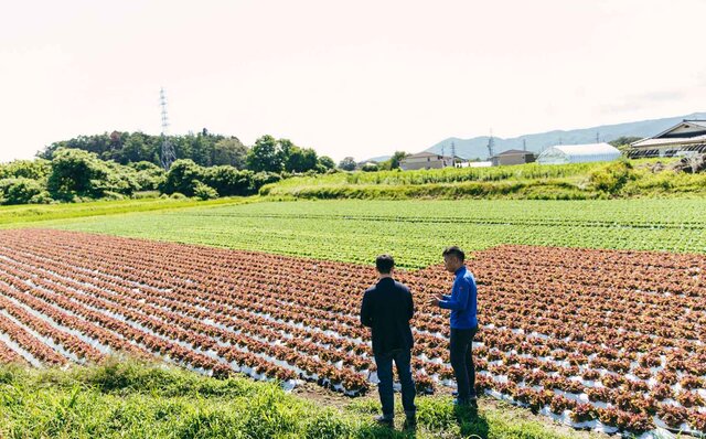 連載 第1回　森のグラン・オーベルジュ「THE HIRAMATSU 軽井沢 御代田」とは？　その秘密に迫る！｜HIRAMATSU HOTELS