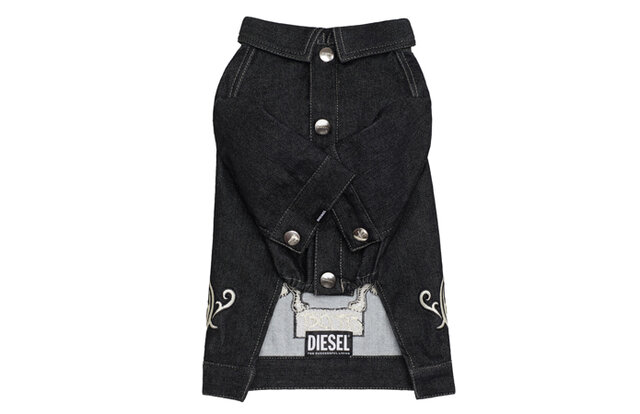 ディーゼル初、大胆さを備えたドッグウェアコレクションが登場|DIESEL ディーゼル初、大胆さを備えたドッグウェアコレクションが登場|DIESEL