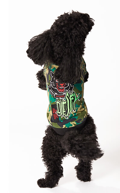 ディーゼル初、大胆さを備えたドッグウェアコレクションが登場|DIESEL ディーゼル初、大胆さを備えたドッグウェアコレクションが登場|DIESEL