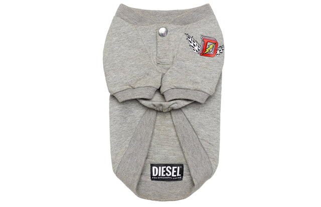 ディーゼル初、大胆さを備えたドッグウェアコレクションが登場|DIESEL ディーゼル初、大胆さを備えたドッグウェアコレクションが登場|DIESEL