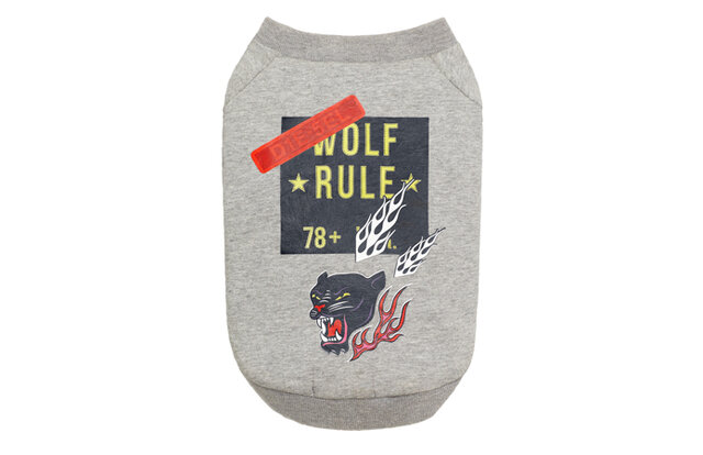 ディーゼル初、大胆さを備えたドッグウェアコレクションが登場|DIESEL ディーゼル初、大胆さを備えたドッグウェアコレクションが登場|DIESEL