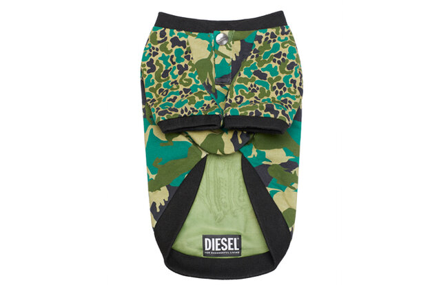 ディーゼル初、大胆さを備えたドッグウェアコレクションが登場|DIESEL ディーゼル初、大胆さを備えたドッグウェアコレクションが登場|DIESEL