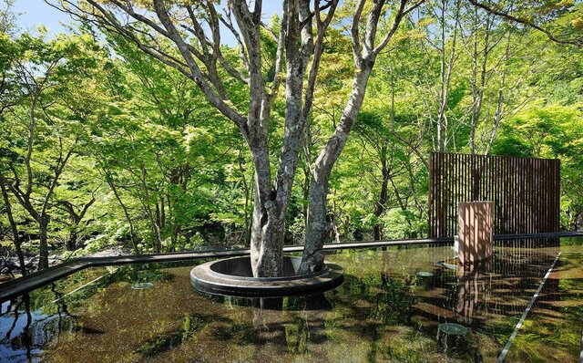 夏の奥入瀬渓流を堪能する「夏の深緑おいらせ旅」プラン登場｜TRAVEL