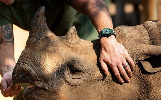 アフリカのサイ保護活動に貢献する「ビッグ・バン ウニコ SORAI」|HUBLOT アフリカのサイ保護活動に貢献する「ビッグ・バン ウニコ SORAI」|HUBLOT