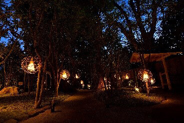 ホテル椿山荘東京で涼やかにシャンパンフリーフローを楽しむ「シャンパンガーデン2021」|EAT ホテル椿山荘東京で涼やかにシャンパンフリーフローを楽しむ「シャンパンガーデン2021」|EAT