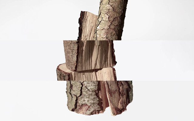 オードパルファム「ツイリー ドゥ エルメス」に3番目の新作誕生｜HERMÈS