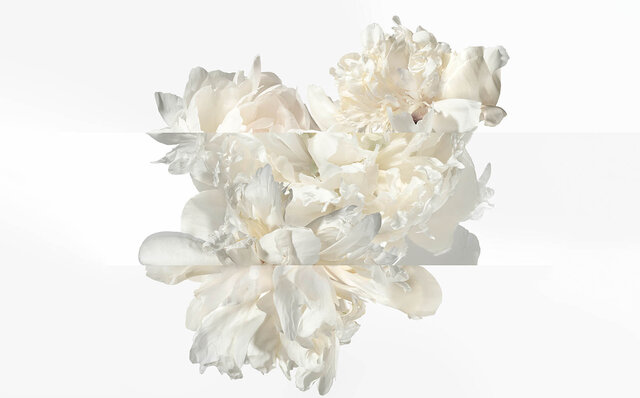 オードパルファム「ツイリー ドゥ エルメス」に3番目の新作誕生｜HERMÈS