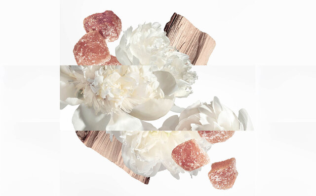 オードパルファム「ツイリー ドゥ エルメス」に3番目の新作誕生｜HERMÈS