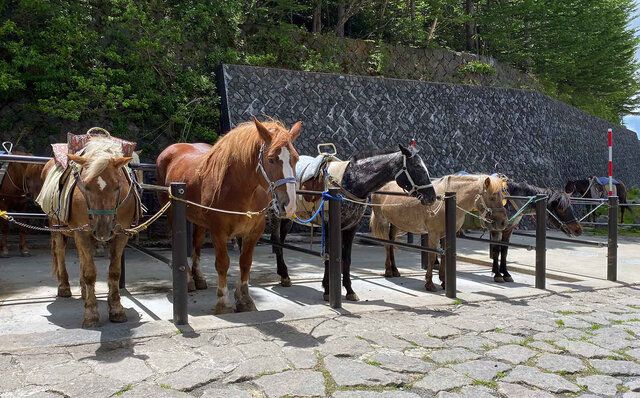 富士登山の第一人者と一緒に登頂する格別体験。「グラマラス富士登山」のススメ｜TRAVEL