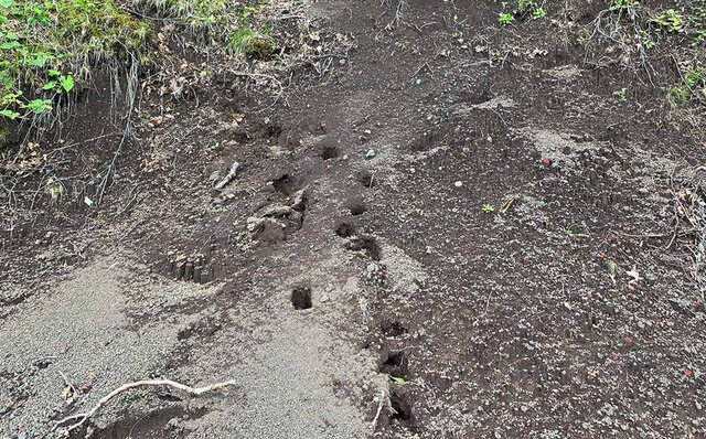 富士登山の第一人者と一緒に登頂する格別体験。「グラマラス富士登山」のススメ｜TRAVEL