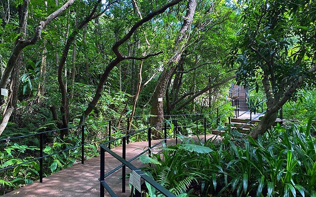 クラブラウンジを新設！「ザ・リッツ・カールトン沖縄」の実力やいかに!?｜TRAVEL