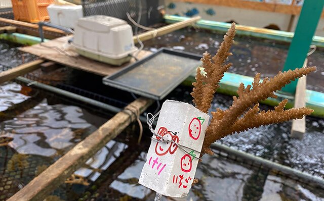 クラブラウンジを新設！「ザ・リッツ・カールトン沖縄」の実力やいかに!?｜TRAVEL