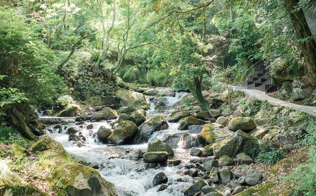 文化人も愛した湯治場でお気に入りの一冊に没頭する｜TRAVEL