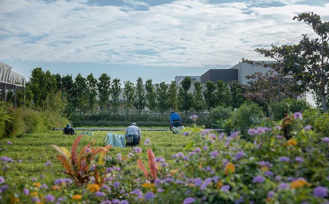 真冬でも入れる24時間ホットプールと、沖縄食材のシチリア料理。「星のや沖縄」は、計算された大人の楽園です｜TRAVEL