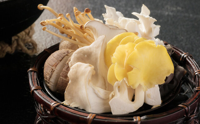 2022年2月・3月限定でトンボの湯入り放題！　軽井沢 星野エリアのリッチなコンテンツを驚愕リーズナブルなプライスで体験｜TRAVEL