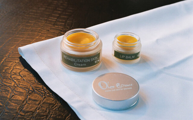 オリーブを使った化粧品ブランドが取り組む、持続可能な成長|OLEA ESSENCE オリーブを使った化粧品ブランドが取り組む、持続可能な成長|OLEA ESSENCE