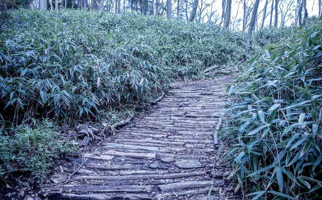 訪れる度に変化を魅せる大自然の中のガーデン「ニコライ バーグマン 箱根 ガーデンズ」|TRAVEL 訪れる度に変化を魅せる大自然の中のガーデン「ニコライ バーグマン 箱根 ガーデンズ」|TRAVEL