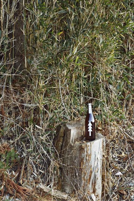 3.11から11年。復興の象徴「一本松」の名を冠したクラフトビールが登場|EAT 3.11から11年。復興の象徴「一本松」の名を冠したクラフトビールが登場|EAT