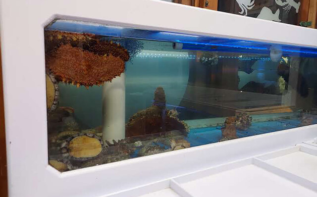 連載エッセイ｜#ijichimanのぼやき「素材の個性を最大化する韓国料理」