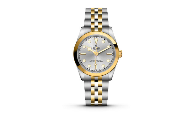 チューダーらしさがにじみ出る堅牢性と、ジェンダーレスなデザイン。煌くイエローゴールドを纏った「ブラックベイ 31/36/39/41 S&G」|TUDOR チューダーらしさがにじみ出る堅牢性と、ジェンダーレスなデザイン。煌くイエローゴールドを纏った「ブラックベイ 31/36/39/41 S&G」|TUDOR