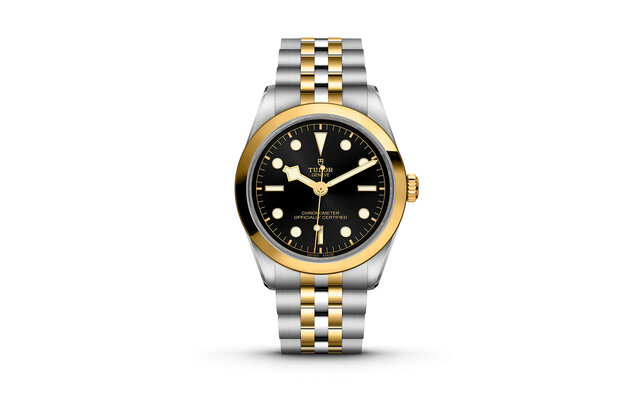 チューダーらしさがにじみ出る堅牢性と、ジェンダーレスなデザイン。煌くイエローゴールドを纏った「ブラックベイ 31/36/39/41 S&G」|TUDOR チューダーらしさがにじみ出る堅牢性と、ジェンダーレスなデザイン。煌くイエローゴールドを纏った「ブラックベイ 31/36/39/41 S&G」|TUDOR