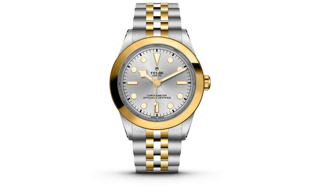 チューダーらしさがにじみ出る堅牢性と、ジェンダーレスなデザイン。煌くイエローゴールドを纏った「ブラックベイ 31/36/39/41 S&G」|TUDOR チューダーらしさがにじみ出る堅牢性と、ジェンダーレスなデザイン。煌くイエローゴールドを纏った「ブラックベイ 31/36/39/41 S&G」|TUDOR