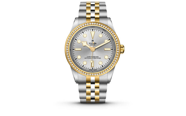 チューダーらしさがにじみ出る堅牢性と、ジェンダーレスなデザイン。煌くイエローゴールドを纏った「ブラックベイ 31/36/39/41 S&G」|TUDOR チューダーらしさがにじみ出る堅牢性と、ジェンダーレスなデザイン。煌くイエローゴールドを纏った「ブラックベイ 31/36/39/41 S&G」|TUDOR