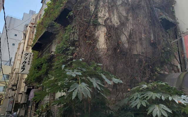 連載エッセイ｜#ijichimanのぼやき「洋食」