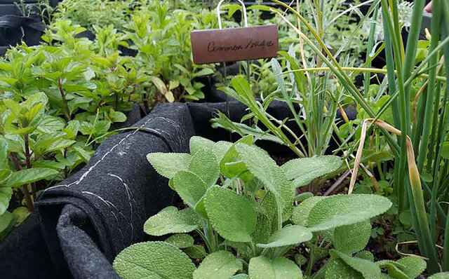 酒粕がクラフトジンに。サステナブルを実現する東京リバーサイド蒸溜所|EAT 酒粕がクラフトジンに。サステナブルを実現する東京リバーサイド蒸溜所|EAT