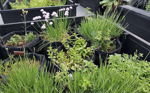 酒粕がクラフトジンに。サステナブルを実現する東京リバーサイド蒸溜所|EAT 酒粕がクラフトジンに。サステナブルを実現する東京リバーサイド蒸溜所|EAT