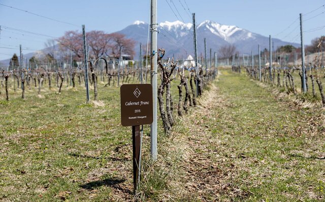ワインも食材も地元愛! ペアリングディナー初心者にぜひお勧めしたい、破格コスパの絶品イタリア料理|TRAVEL ワインも食材も地元愛! ペアリングディナー初心者にぜひお勧めしたい、破格コスパの絶品イタリア料理|TRAVEL