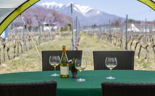 ワインも食材も地元愛! ペアリングディナー初心者にぜひお勧めしたい、破格コスパの絶品イタリア料理|TRAVEL ワインも食材も地元愛! ペアリングディナー初心者にぜひお勧めしたい、破格コスパの絶品イタリア料理|TRAVEL