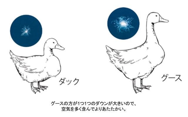 老舗寝具メーカー西川が、洗えるダウン寝袋「西川本気寝袋」を開発。自宅のふとんで寝ているような快適な寝心地を実現｜NISHIKAWA