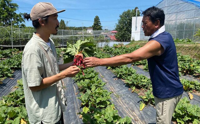 1杯のジュースの深みと奥行を追い求める|SUNSHINE JUICE 1杯のジュースの深みと奥行を追い求める|SUNSHINE JUICE