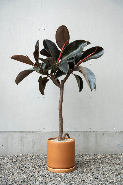 アノニマスなデザインが特徴の植木鉢シリーズ。受け皿もセットで販売｜ARAHEAM