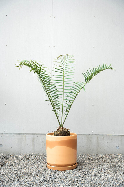 アノニマスなデザインが特徴の植木鉢シリーズ。受け皿もセットで販売｜ARAHEAM