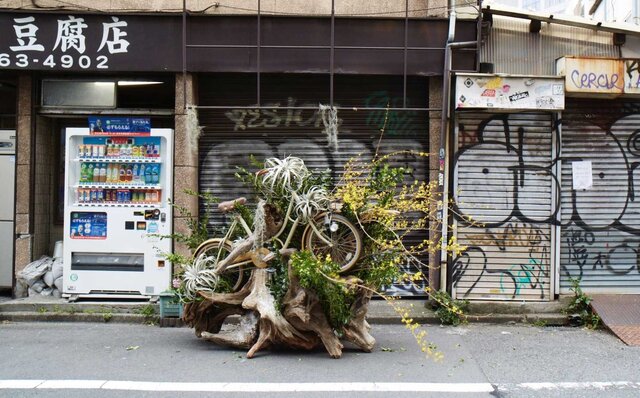 “花”を題材に、リアル、2次元、メタバースを自由自在に往来、新機軸を創出する｜PLANTICA