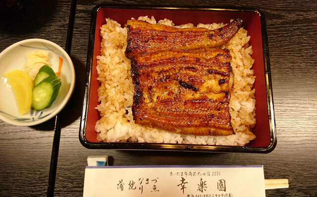 連載エッセイ|#ijichimanのぼやき「ウナギ」 連載エッセイ|#ijichimanのぼやき「ウナギ」