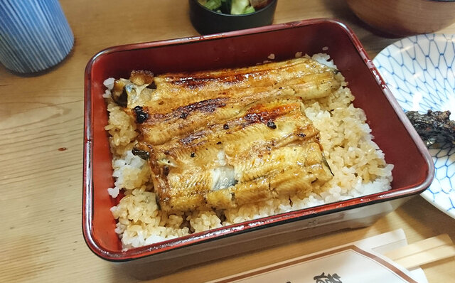 連載エッセイ|#ijichimanのぼやき「ウナギ」 連載エッセイ|#ijichimanのぼやき「ウナギ」