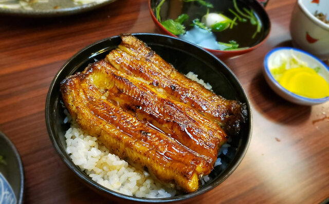 連載エッセイ|#ijichimanのぼやき「ウナギ」 連載エッセイ|#ijichimanのぼやき「ウナギ」