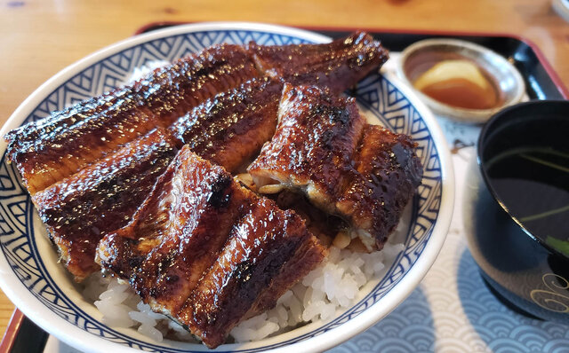 連載エッセイ|#ijichimanのぼやき「ウナギ」 連載エッセイ|#ijichimanのぼやき「ウナギ」