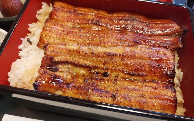 連載エッセイ|#ijichimanのぼやき「ウナギ」 連載エッセイ|#ijichimanのぼやき「ウナギ」