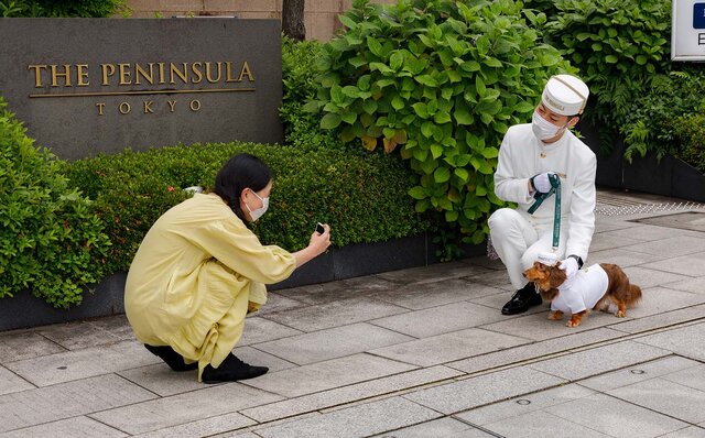 ［犬と泊まれる宿］“館内抱きかかえで皇居お散歩”が叶う！　ザ・ペニンシュラ東京「ドッグステイプログラム」全容を大公開｜TRAVEL