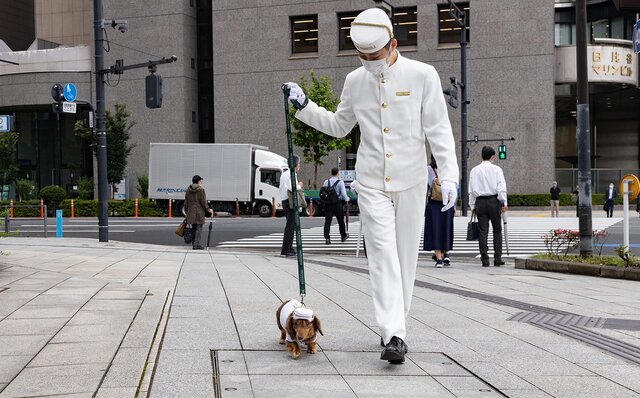 ［犬と泊まれる宿］“館内抱きかかえで皇居お散歩”が叶う！　ザ・ペニンシュラ東京「ドッグステイプログラム」全容を大公開｜TRAVEL