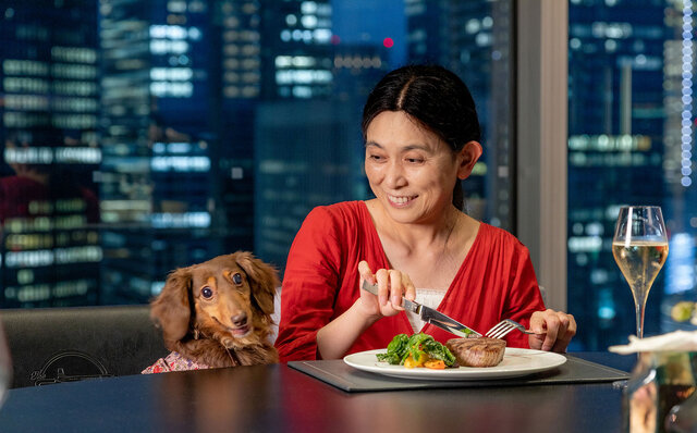 ［犬と泊まれる宿］“館内抱きかかえで皇居お散歩”が叶う！　ザ・ペニンシュラ東京「ドッグステイプログラム」全容を大公開｜TRAVEL