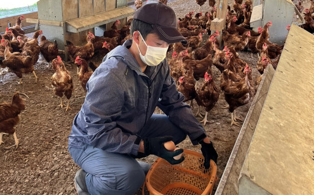 信州・安曇野の“環境にやさしい平飼い卵”をフードレスキュー!|EAT 信州・安曇野の“環境にやさしい平飼い卵”をフードレスキュー!|EAT