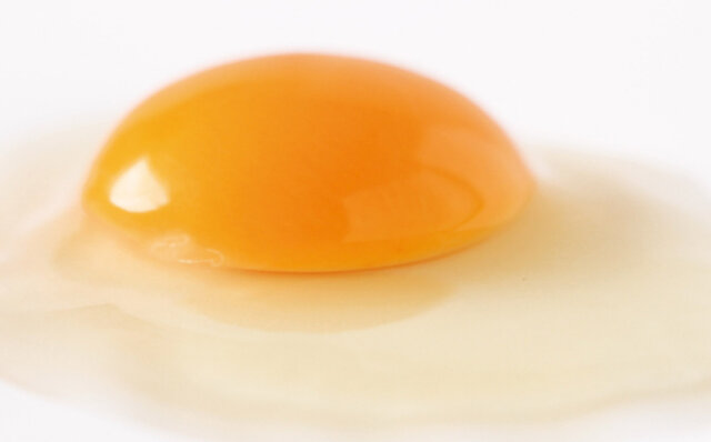 信州・安曇野の“環境にやさしい平飼い卵”をフードレスキュー!|EAT 信州・安曇野の“環境にやさしい平飼い卵”をフードレスキュー!|EAT