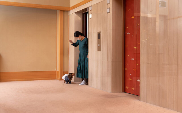 ［犬と泊まれる宿］with わんこドライブで日光へ。ドア to ドアで気兼ねなく、町全体がわんこ歓迎でフレンドリー！｜TRAVEL