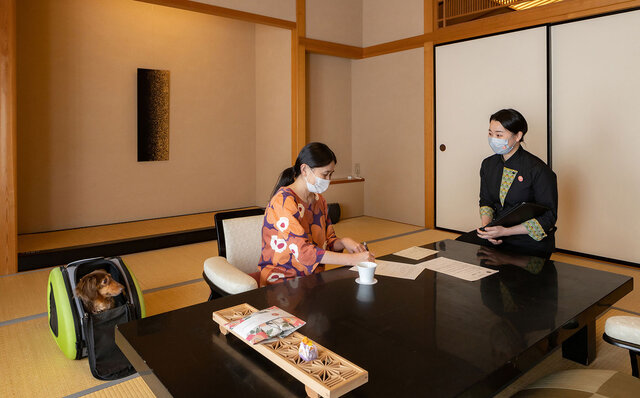 ［犬と泊まれる宿］with わんこドライブで日光へ。ドア to ドアで気兼ねなく、町全体がわんこ歓迎でフレンドリー！｜TRAVEL