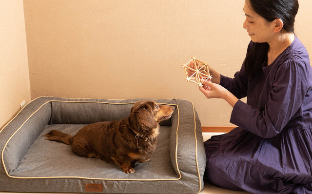 ［犬と泊まれる宿］with わんこドライブで日光へ。ドア to ドアで気兼ねなく、町全体がわんこ歓迎でフレンドリー！｜TRAVEL